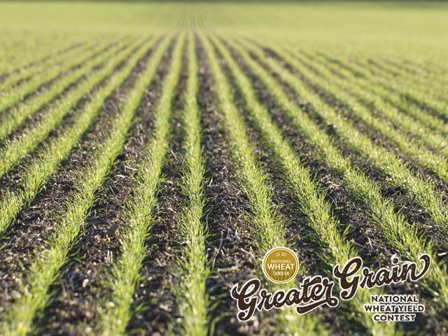 Photo Caption: Some of the seeds of the 2023 National Wheat Yield Contest have already been planted. (DTN photo by Pamela Smith)