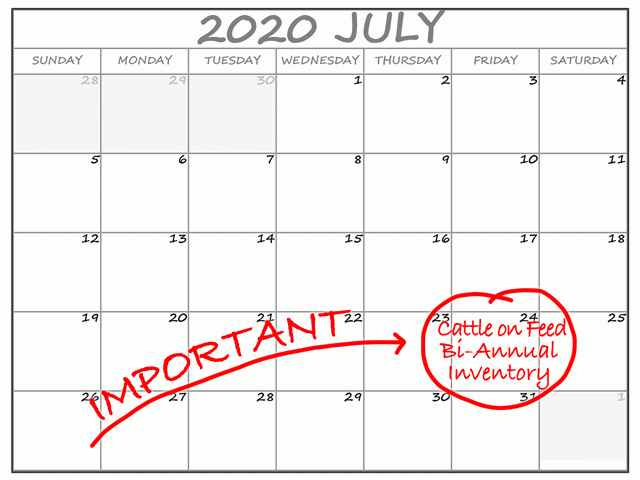 Mark your calendars as this upcoming Friday is a busy one for the cattle market. (DTN illustration)