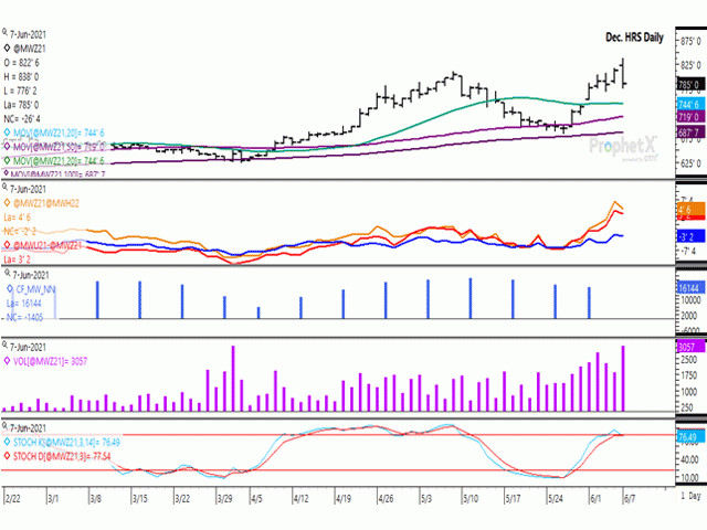 December spring wheat reached a fresh contract high this session, although the move was met with resistance, printing a bearish outside bar on the daily chart. The first study shows spreads weakening only modestly, with new crop spreads continuing to trade as a bullish inverse. The second study shows the noncommercial net-long position falling for a third week in a row, as of June 1. (DTN ProphetX chart)
