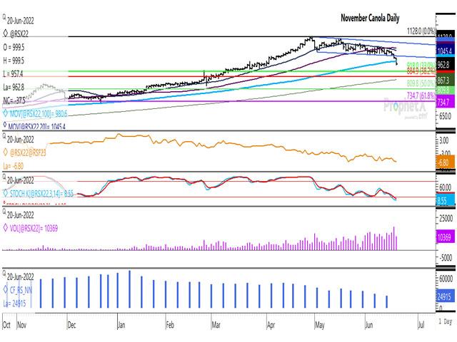 The November canola contract broke out lower from a downward-sloping channel traded since late April on June 17, while broke below the contract&#039;s 100-day moving average on June 20, reaching its weakest trade in over 11 weeks. The first study shows the Nov/Jan spread closing at minus $6.80/mt (first study), the weakest seen during the life of the contract. (DTN ProphetX graphic)