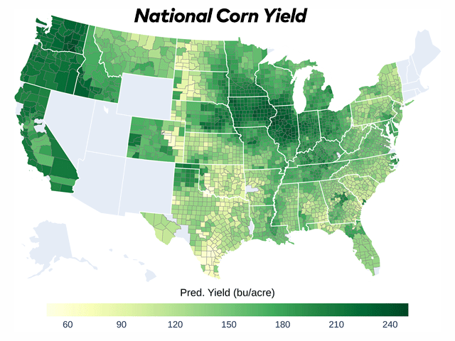 National corn yield predictions as of Aug. 1, according to DTN&#039;s proprietary yield models. The 2025 DTN Digital Yield Tour reflects plentiful rainfall during the growing season. Darker green shades in the map reflect higher corn yield averages, with the darkest green reflecting yields of up to 240 bushels per acre or higher. (DTN map by Scott Williams) 
