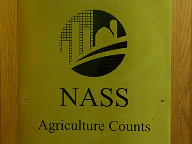 NASS bumped up the corn and soybean acreage on Wednesday, citing more reliance on FSA acreage reports. NASS also had to clarify that its various sources used for data analysis in August were no different than normal. The agency has been facing some pressure over the accuracy of reports as officials look to boost farmer survey responses. (DTN file photo)