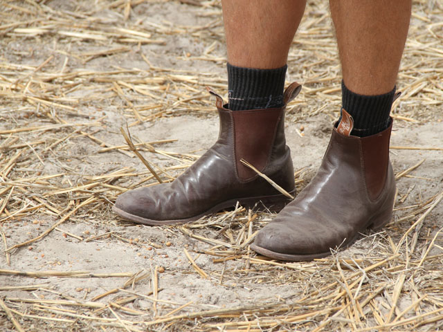 The Australian farmer connected to these J.M. Williams boots battles herbicide-resistant weeds on a daily basis. The classic elastic side riding boot, shorts and wool socks are classic attire in the farming region of Western Australia. (DTN photo by Pamela Smith)