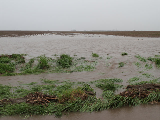 Water is running off fields that could barely buy a rain last summer. (DTN photo by Pamela Smith) 