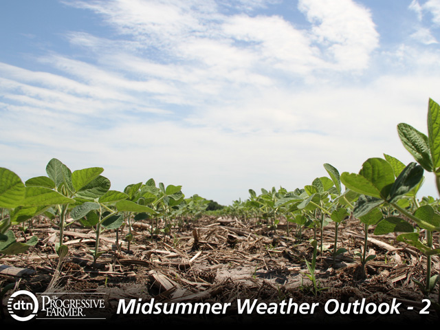Late-planted soybeans in the northern Midwest will need all the weather help they can get in July to produce ahead of frost. (DTN photo by Pam Smith)