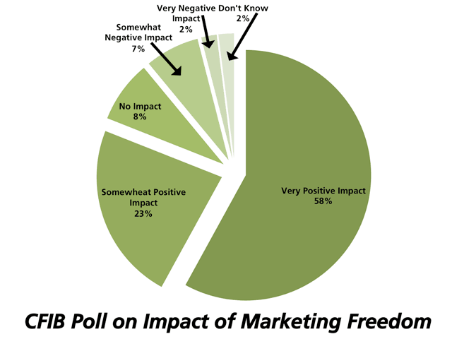 When asked what overall impact the ability to market wheat and barley outside of the Canadian Wheat Board (CWB) has had on their agribusiness, 81% responded that there was a positive impact, as determined in a poll conducted by the Canadian Federation of Independent Business. (Data Source CFIB, DTN Graphic by Nick Scalise)