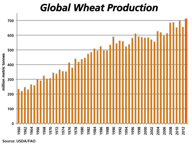 Global wheat production has grown at a steady pace since 1960. The FAO&#039;s Agricultural Market Information System (AMIS) has released its latest estimates for 2013/14 global production, indicating wheat production to reach a record 710 million metric tonnes, a significant increase over 2012/13 production. All data comes from USDA tables except for the 2013 value which originates from the current FAO release. (DTN graphic by Nick Scalise)