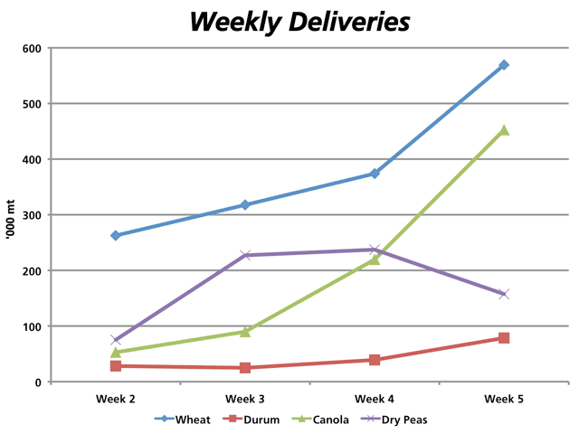 This chart shows the weekly deliveries for selected grains this crop year, taking into account the Grain Commission&#039;s weekly Western Division primary elevator deliveries, as well as deliveries to Western Division process elevator deliveries. This data includes deliveries to Sept. 8. (DTN graphic by Nick Scalise)