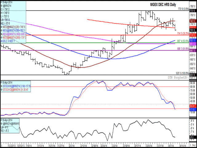 Since testing the $7.70 per bushel level five times in late March, December HRS wheat has traded sideways to lower, while breaking below the lower end of the recent trading range and falling below the support of the 200-day moving average. Stochastics on the daily chart continue to trend lower (second study), while the third study indicates a weakening Dec/March spread. (DTN graphic)
