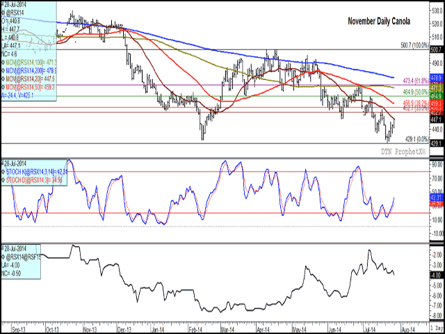 After reaching a fresh contract low of $429.10/mt on July 22, November canola has climbed $13.70/mt over four sessions. The middle study shows momentum on the daily chart continuing to trend higher, while the lower study indicates the Nov/Jan spread continuing to trade at a weak carry. (DTN graphic by Nick Scalise)