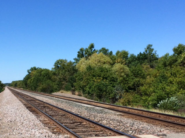 Empty railroad tracks not an uncommon sight for many grain elevators in the upper Midwest. (DTN photo by Mary Kennedy)