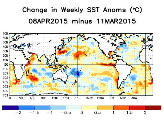 Warm temperatures in the Pacific Ocean indicate El Nino conditions, which could be in effect until November. (NOAA Graphic)   