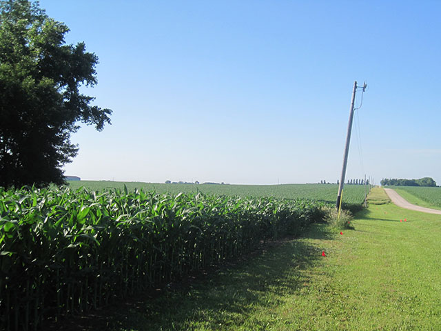 Thanks to Mark Nowak from south-central Minnesota for sharing this photo of his very good-looking corn field. (Photo by Mark Nowak)