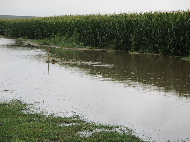 A photo from northwest Iowa taken Monday after last weekend&#039;s rains. (Photo by Randy Bush)