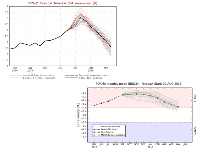 DTN&#039;s log of Pacific Ocean temperatures suggests that Pacific Ocean conditions may be matching the Australia forecast more than the U.S. outlook. (NOAA and Australia BOM graphics) 