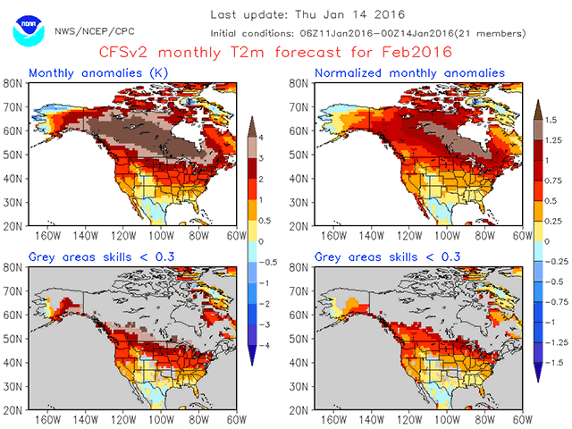 The forecast for February shows an impressively mild pattern once again for Canada. (Photo courtesy of U.S. National Center for Environmental Prediction)