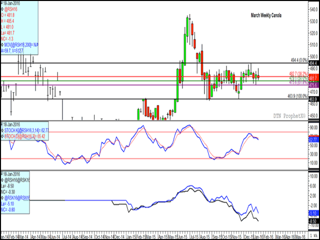 Over the past 23 weeks, March canola has traded largely within a $30/mt range, while over the past seven weeks the range has narrowed to less than $20/mt as focus remains on South American prospects. The lower-study indicates the March/May spread (black line) and the May/July spread (blue line) weakening, a sign of growing commercial bearishness. (DTN graphic by Nick Scalise)