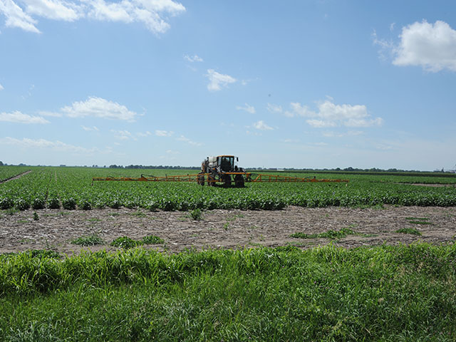 Keep an eye open for state regulations that may exceed federal label regulations if you plan to use dicamba herbicides this season. (DTN photo by Pamela Smith)
