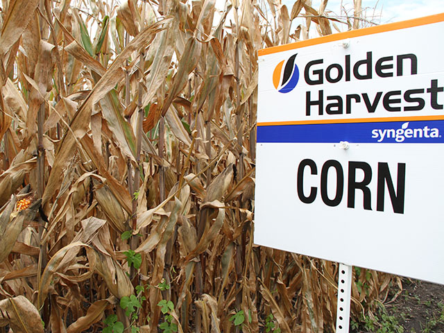 U.S. growers may soon have a seed company with ties to China if the proposed Syngenta deal goes through. (DTN photo by Pamela Smith)