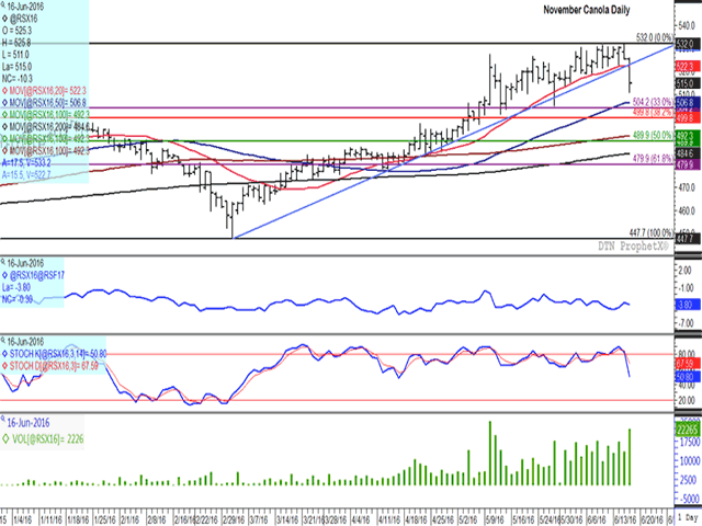 The November canola future broke through the support of its upward-sloping trendline on Thursday, as well as its 20-day moving average, to reach a 14-day low. The change in trend was signaled in Wednesday&#039;s bearish crossover of momentum indicators (third study), while the move was convincing with the highest volume seen in over a month and the second highest over the life of the contract. (DTN graphic by Nick Scalise)