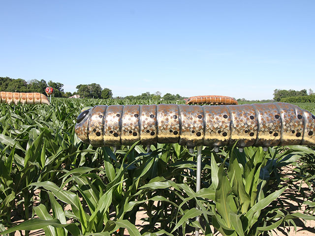 The worms found at the Dow AgroSciences test farm are super-sized replicas, but the threat of damage from above-ground pests is real without protection. (Photo by Pamela Smith) 