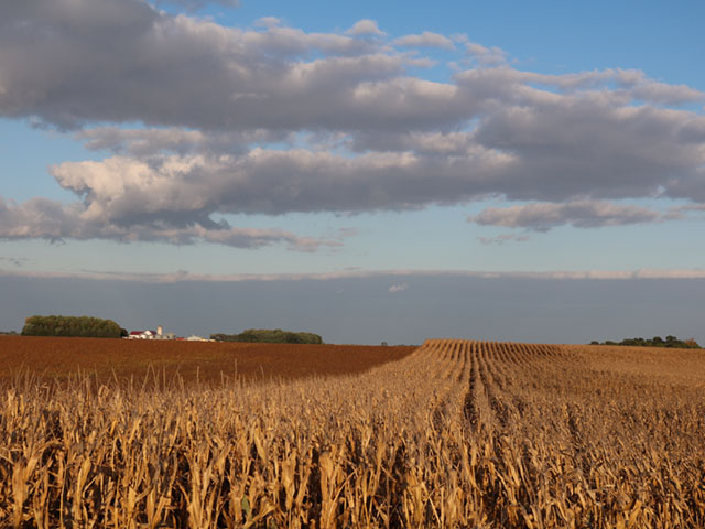 A harvest photo taken by DTN Social Media Coordinator Marie Annexstad.