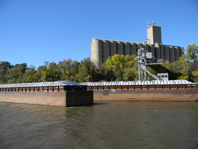 Barges wait patiently to be loaded with corn or soybeans at a Mississippi River terminal in the St. Paul District, Minnesota. (DTN photo by Mary Kennedy)