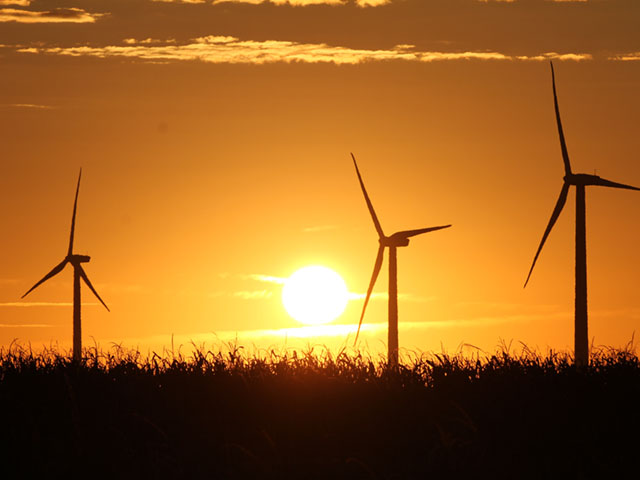 Wind turbines in southwest Iowa in the middle of corn fields. Reflecting rural America has solutions for renewable energy, Iowa gets more than 35% of its power from wind. (Elaine Shein photo) 