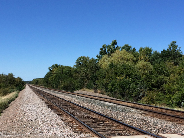 This was a common scene during the rail service problems in 2013-14. On Nov. 30, 2016, the STB made the long-awaited final decision on weekly service performance reporting by the railroads. (DTN photo by Mary Kennedy)