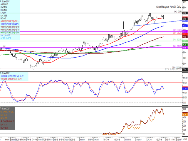 March palm oil has struggled below December highs, ending lower for the second straight day, posting a bearish outside-day trading bar and ending below the contract&#039;s 20-day moving average (red line). The upward-sloping blue line could be viewed as a neckline for a head and shoulders pattern which could lead to a market reversal if breached. (DTN graphic by Nick Scalise)