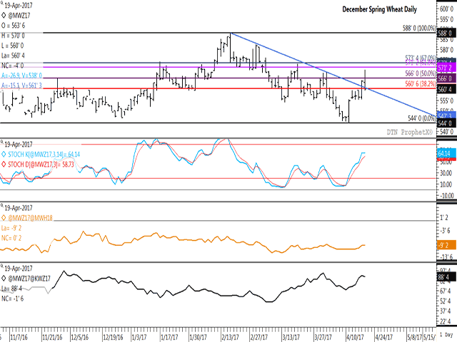 The December MGEX spring wheat contract reached a four-week high this session while breaking resistance, only to face selling pressure to finish near the lower-end of Wednesday&#039;s range. The gold line on the third study shows the Dec/March spread strengthening 1 1/2 cents this week to minus 9 1/2 cents.