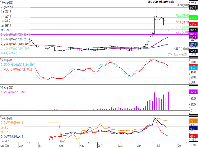 The weekly December MGEX spring wheat future closed lower this week for the fourth time in five weeks, while breaking below the 50% retracement of the move from the April low to July high at $6.93 1/2/bu. This week&#039;s trading range engulfed the previous week&#039;s range to from a bearish outside week trading bar. Weekly stochastic indicators are trending lower as investors liquidate long positions (second study), while the lower-study shows commercial traders growing increasingly bearish on the front-end, with the Sept/Dec spread (red line) weakening to 14 1/4 cents. (DTN graphic by Nick Scalise)