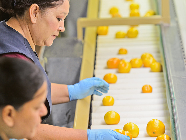 An Iowa State survey found an employee&#039;s salary made up 85% of total compensation. The rest included bonuses and fringe benefits. (DTN/Progressive Farmer photo by Jim Patrico)