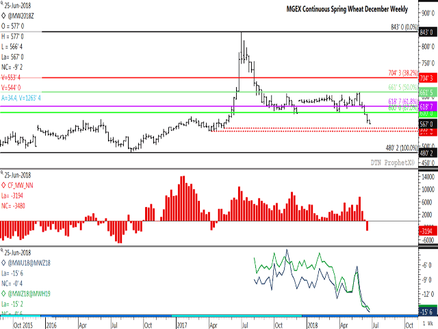 The MGEX continuous December spring wheat contract shows another low reached in Monday&#039;s trade, while potential support levels lie at previous weekly lows of $5.53 1/2/bu and at $5.44/bu (red dotted lines). The middle study is CFTC data, which shows the noncommercial position moving from a net long to the first net-short position seen since April 2017. The lower study shows the Sept/Dec and Dec/March spreads weakening. (DTN ProphetX Chart)