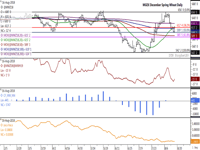 The December spring wheat contract held above support on Thursday while shows a bullish outside reversal bar formed over the session. Unlike winter wheat, today&#039;s trade shows supportive commercial buying interest, as seen in the brown line in the first study, the December/March spread narrowing to minus 15 1/4 cents. Noncommercial buying interest remains a factor, following last week&#039;s CFTC data that shows investors moving from a net-short to net-long position (second study). (DTN Prophet Chart)