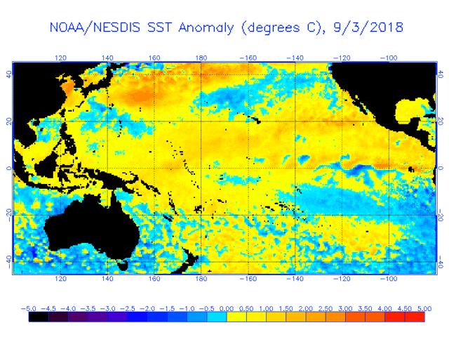 Besides crop ratings remaining stable, Pacific Ocean temperatures are also showing a flat trend in early September. (NOAA/NESDIS graphic)