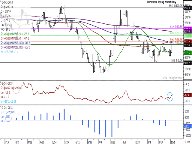 December spring wheat rallied 14 1/4 cents on Tuesday to reach a three-week high, while facing technical resistance between Tuesdayâs close and the $6 level. The line on the first study represents the Dec/March spread, which has narrowed 2 cents so far this week, a sign of supportive commercial activity. The histogram in the lower study shows that noncommercial  traders have been noncommittal for eight weeks and short covering could help fuel a move higher. (DTN ProphetX chart)