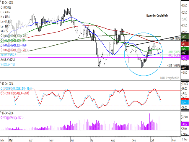The November canola daily chart is pointing to a possible inverted head-and-shoulders reversal pattern, with this week&#039;s trade forming what could be the right shoulder of the pattern. A break above the neckline at $504.50/metric ton is needed to signal the completion of the pattern and a continued move higher. (DTN ProphetX chart)