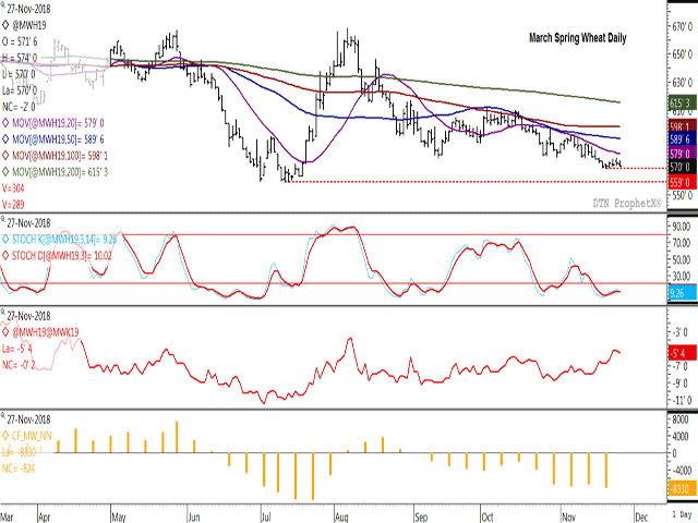 March 2019 spring wheat futures are holding above the November low of $5.68 1/2 by a thread, while a breach of this level could see a further drop to the July low of $5.59 per bushel. The histogram in the lower study shows investors holding the largest net-short position held since July, although the first study shows stochastic momentum indicators oversold which may act to limit further downside. (DTN ProphetX graphic)