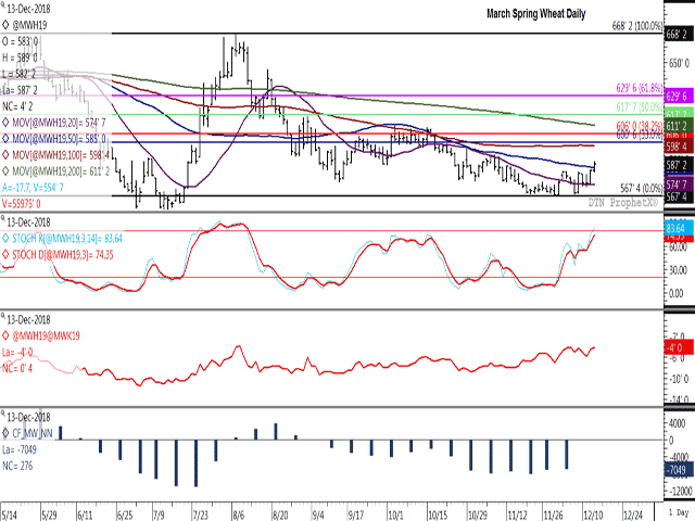 The March spring wheat contract closed above its 50-day moving average on Thursday for the first time since Oct. 15. The contract is approaching November highs and is poised to close higher for the third straight week. The red line in the second study points to supportive commercial buying interest, while the key to a market move could be the noncommercial net-short position shown by the blue bars of the histogram in the lower study. (DTN ProphetX chart)