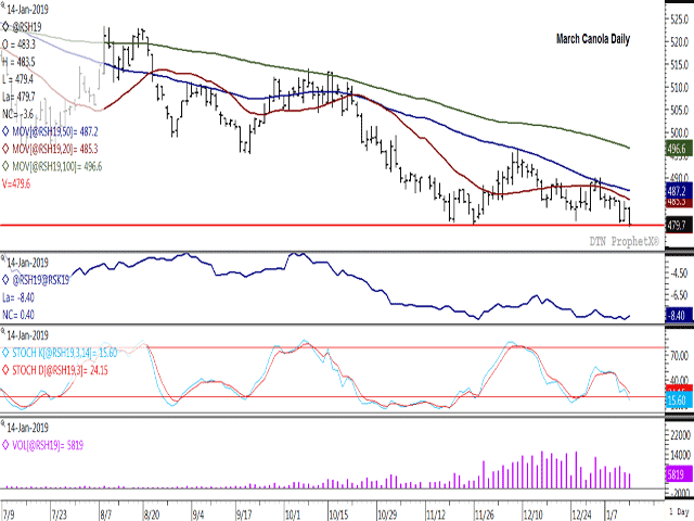 March canola broke the support of the contract&#039;s November low this session, although partially recovered to close above this support while in negative territory. The first study points to light, supportive commercial buying limiting losses this session, given a narrower March/May spread. Trade volume was the lightest reported in nine sessions. (DTN ProphetX chart)