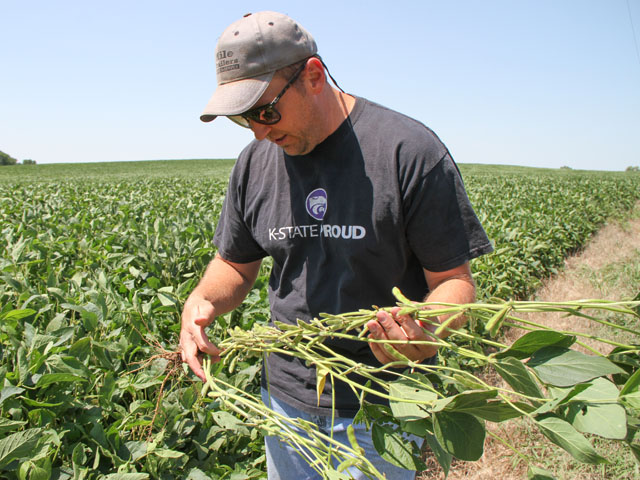 During the 2018 season, Kyle Krier saw soybeans flourish with abundant rainfall, but wet conditions also brought a nail biter harvest as he reported in DTN&#039;s View From the Cab series. (DTN photo by Pamela Smith) 