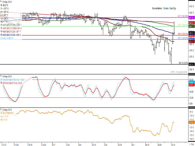 December corn rallied for the third straight session although finished near the lower-end of Wednesday&#039;s trading range, testing several technical resistance levels. The first study shows the stochastic momentum indicators have yet to reach overbought territory signaling the potential for a further move higher. The lower study shows the Dec19/Mar20 spread that remained unchanged on Wednesday, although has strengthened or narrowed 2 1/2 cents so far this week. (DTN ProphetX chart)