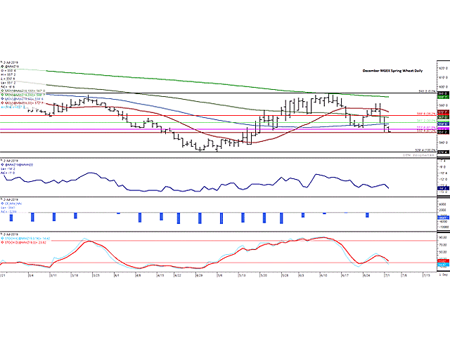 The December MGEX spring wheat chart shows last week&#039;s double-digit gains quickly taken back in the first two days of July. This contract has found support at the 67% retracement of the move from the May low to June high, calculated at $5.50 1/2 per bushel after reaching its lowest level in over five weeks. The blue line on the first study shows the Dec/March spread weakening Tuesday, while the second study points to a growing net-short futures position held by noncommercial traders. (DTN ProphetX chart)