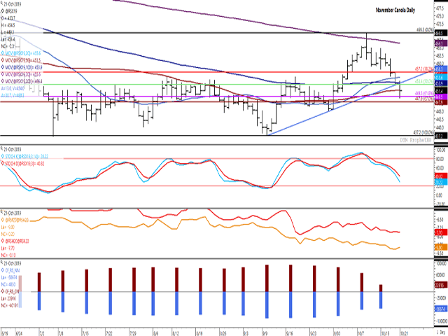 November canola closed lower for the fourth consecutive session, breaking trend line support in place since Sept. 10 while ending below the contract&#039;s 50-day moving average for the first time since Sept. 27. The blue bars of the histogram on the lower study shows noncommercial traders slowly paring their bearish net-short position, while the red bars representing the commercial net-long futures position is seen declining. (DTN ProphetX chart)