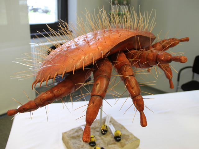 There are plenty of things to give you the heebie-jeebies down on the farm. My devilish varroa mite, depicted here in monster scale, can spell death to honey bees. (DTN photo by Pamela Smith)