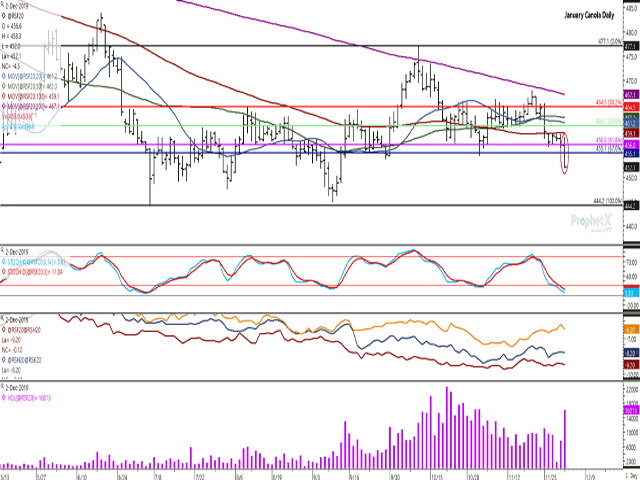 January canola broke out of a narrow range traded in recent days to take out lows in trade that range back to Sept. 13. The lower-study shows the move was the result of high volume trade, with the January volume the highest seen in over a month. The lines on the second study point to weakening spreads through the balance of the crop year. (DTN ProphetX chart)