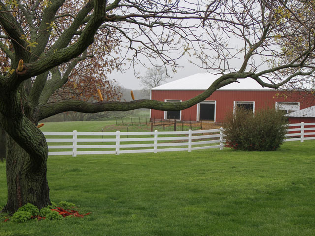The view from my parents farm kitchen window provides a good outlook on the seasons and life in general. (DTN photo by Pamela Smith)