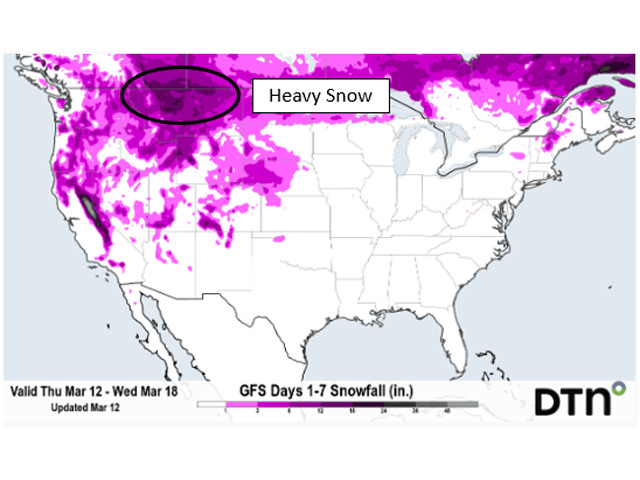 More than a foot of snow (30 centimeters) could blanket the southern Canadian Prairies during the March 13-15 weekend. (DTN graphic)     