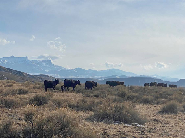 (DTN photo by ShayLe Stewart)